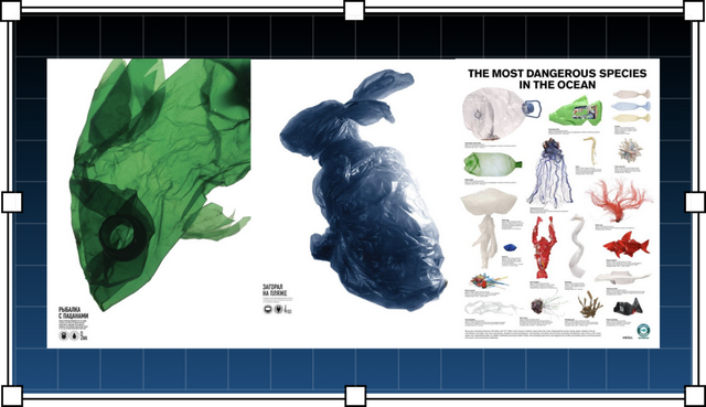 蜜蜂从地球上消失了会怎样，如果蜜蜂从地球上消失,人类将只能再存活四年（没有想法时，怎样突破重围的）