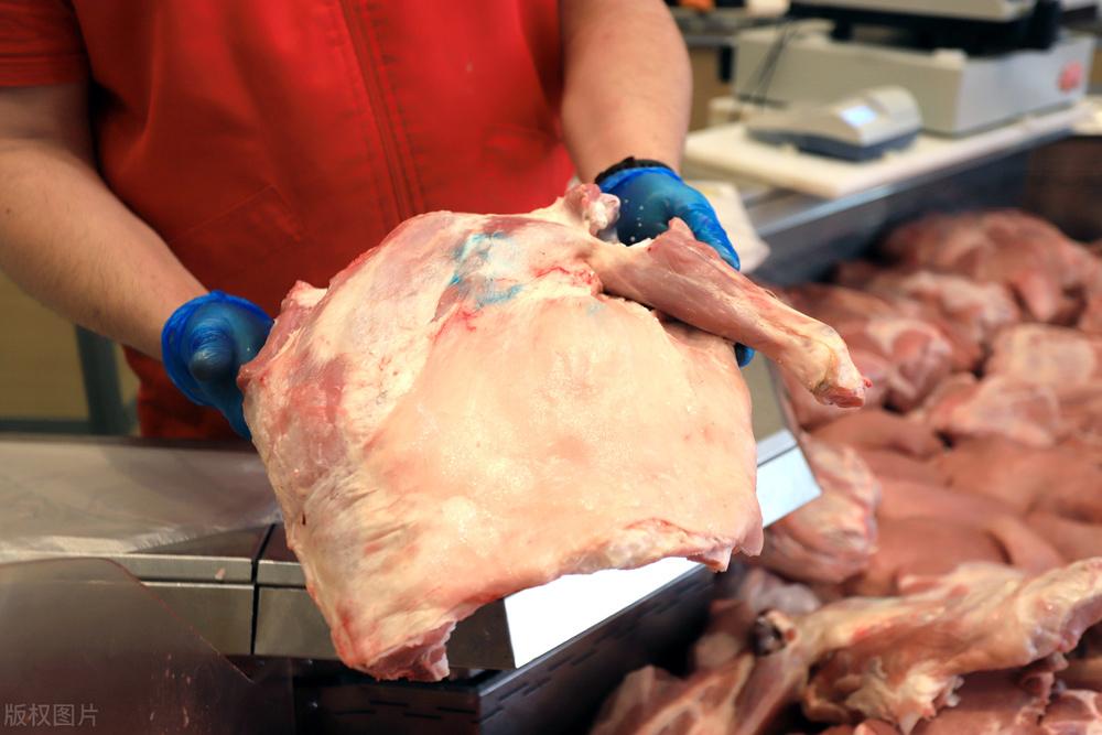 山羊的特点，黑波尔山羊的特点（要区别“绵羊”和“山羊”）