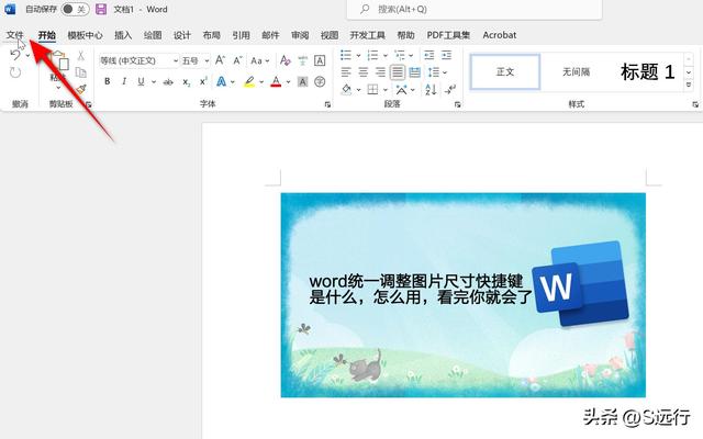 word如何选中所有图片，word怎样同时选中所有图片（word怎么统一调整图片尺寸）