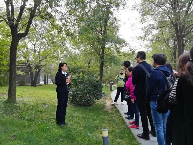 秦始皇兵马俑优秀作文300字，兵马俑的作文300字八篇（<二>兵马俑演绎古都历史）