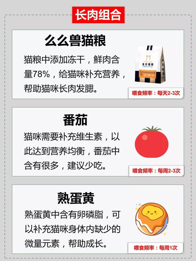 猫可以吃樱桃吗，猫咪可以吃些什么水果（看看哪些食物不能吃）