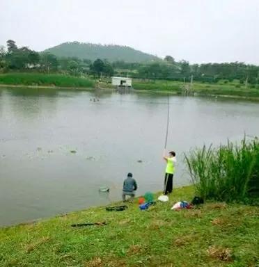 深圳哪里可以钓鱼，深圳哪里可以钓鱼野点更好高分哦（深圳这3个地方免费钓鱼）