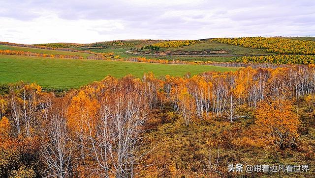 阿尔山的风景，《走进内蒙》景色迷人