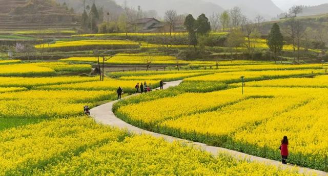 汉中旅游景点排名推荐，汉中旅游景点大全排名榜（在汉中一年四季可以这样玩 →）