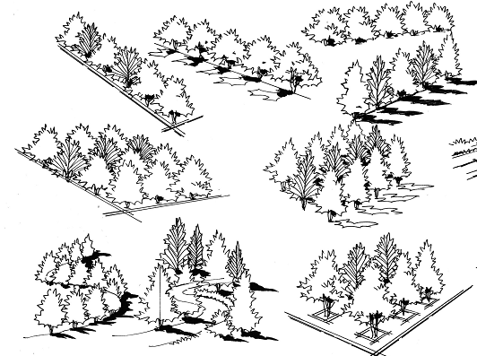 大体来说鸟瞰图只是把平面图旋转了45°,然后在上面添加简化的树木和