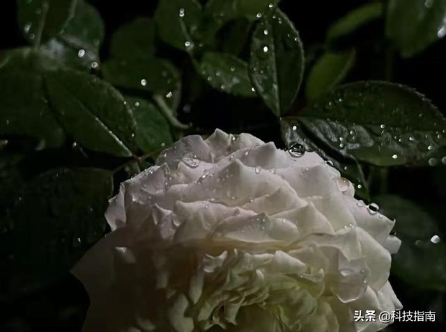 12pm是几点,12pm是几点 马来西亚(苹果12PM换成iPhone13ProMax的三点感受) 12pm是几点,12pm是几点 马来西亚(苹果12PM换成iPhone13ProMax的三点感受)