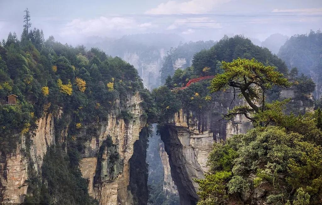 张家界地貌是什么类型（张家界世界地质公园的景观类型）