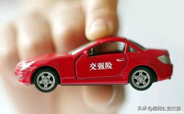 强险保险都包括什么，强险保险都包括什么内容（车辆交强险怎么查询到期）