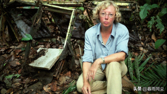 继续活下去的五个故事，关于电影继续活下去的五个故事（告诉我们“生存意志”才是幸存者的生存之法）