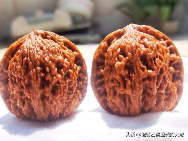 33种文玩狮子头核桃大全，绣球狮子头——文玩核桃浅谈