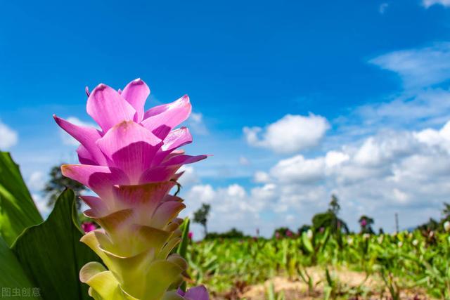 生活中有规律的现象和事物是什么，生活中哪些事物是有规律的（一个人开始走上坡路的12种现象）