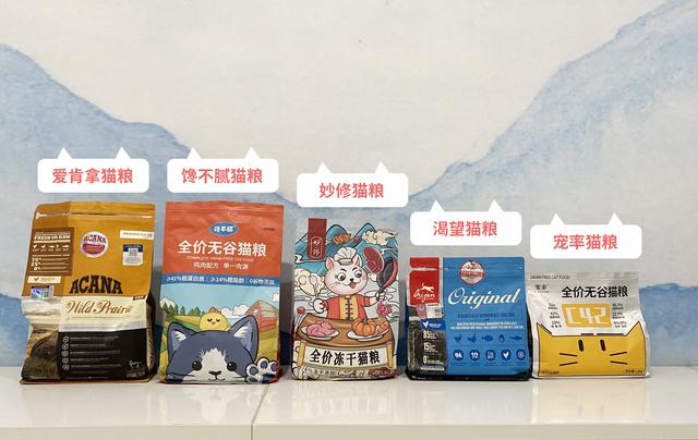 布偶猫的几种性格特征，纯种“布偶猫”的6大特征