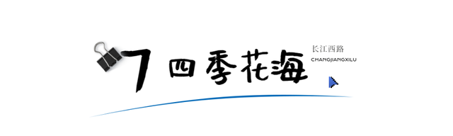 合肥汽车客运西站，合肥汽车客运西站停运了吗（我用了17个关键词总结）
