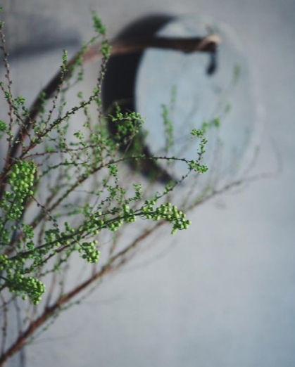 早春的古诗有哪些，描写早春的古诗词大全（满满的温暖和希望）