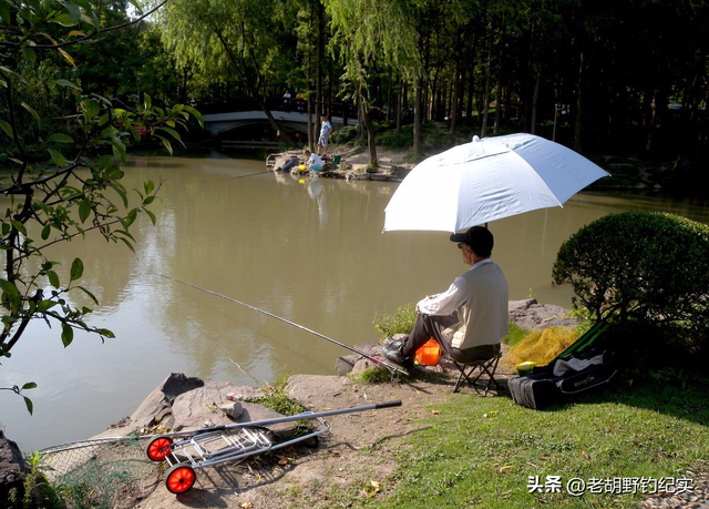 钓鱼位置口诀，钓鱼位置口诀顺口溜（记住这5条寻鱼口诀）