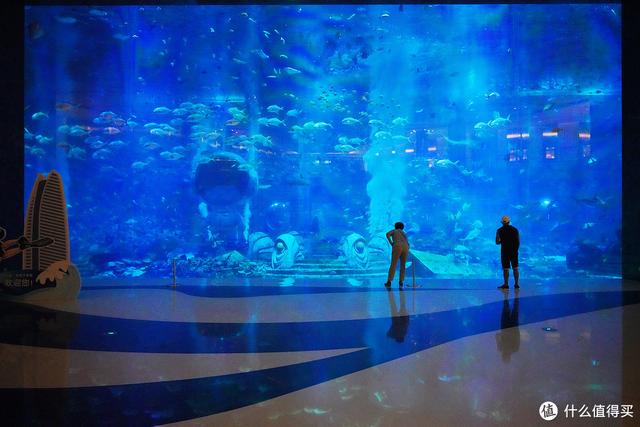 亚特兰蒂斯在哪里，亚特兰蒂斯在哪（“人傻钱多”的三亚亚特兰蒂斯）