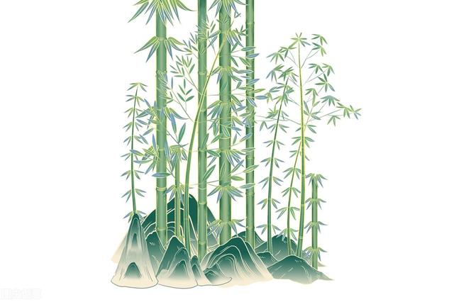 花中四君子指的是什么，花中四君子是指什么（花中四君子，你属于哪种）