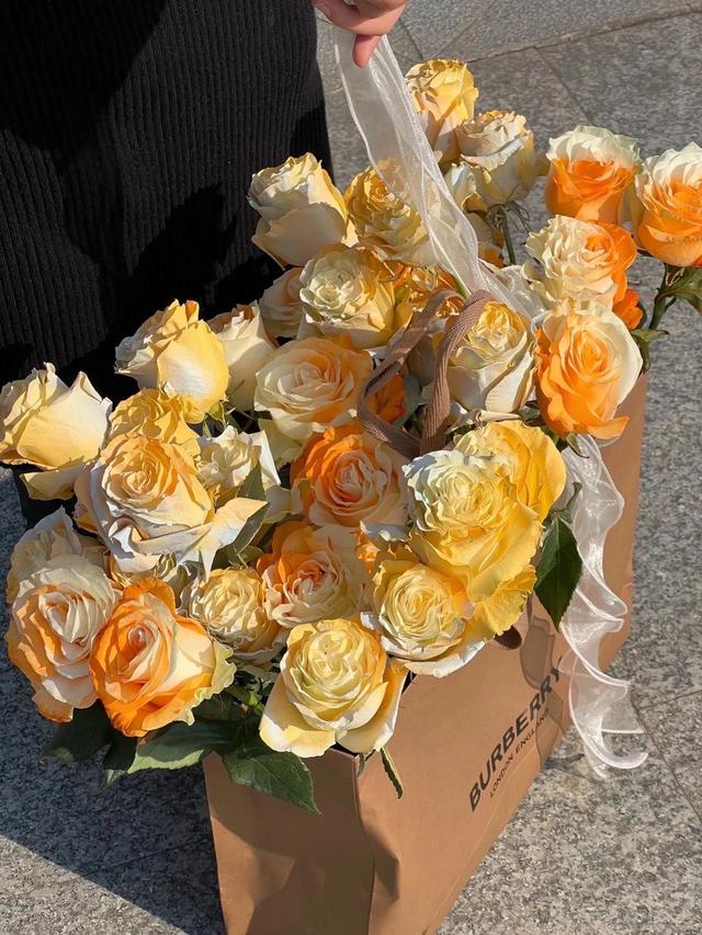 花朵系列背景图，花朵背景图片大全高清唯美（温馨又治愈的花朵背景图）