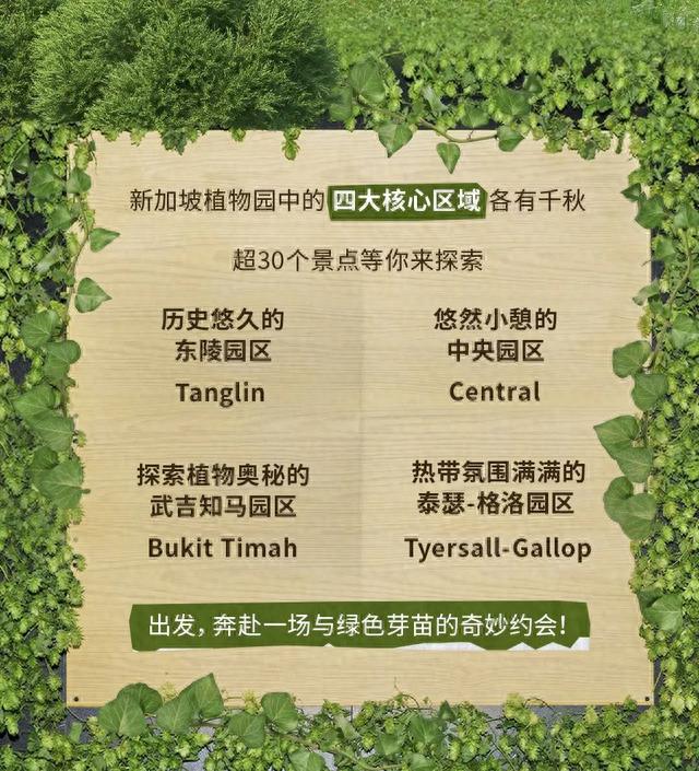 在狮城的花园里挖呀挖呀挖~ 周末打卡新加坡植物园