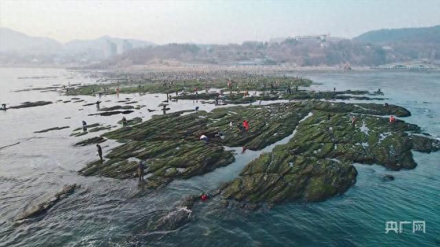图游大连｜这里不仅仅有“网红坡”