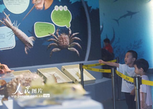 浙江杭州：探访海洋“刺客”世界 了解自然奥秘