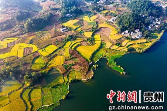 贵州黔西：金秋田园如画卷