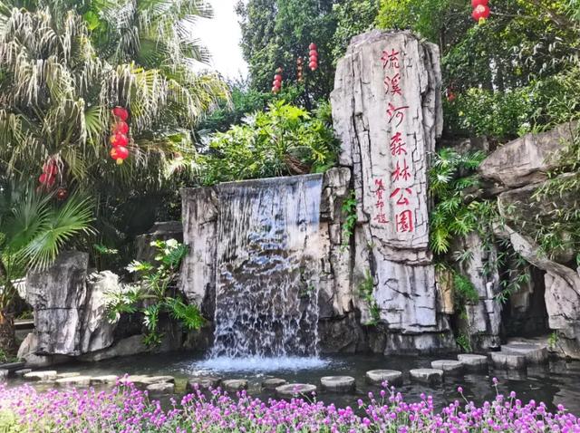 流溪河国家森林公园恢复开园