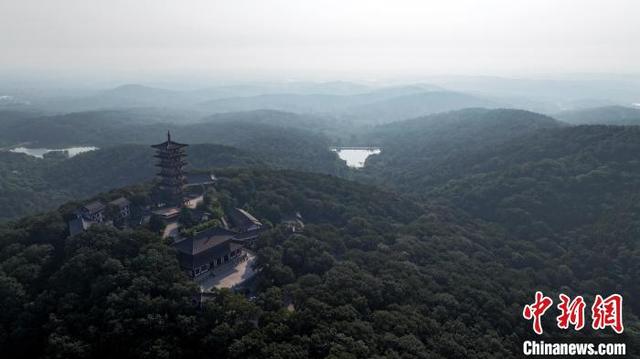 安徽肥西紫蓬山：晨光雾海似水墨画卷