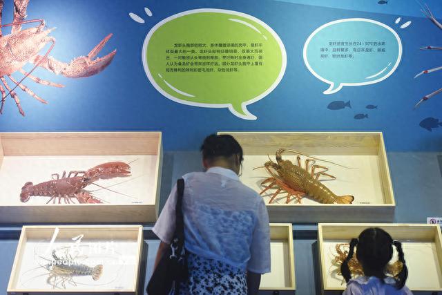 浙江杭州：探访海洋“刺客”世界 了解自然奥秘