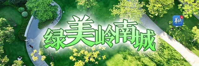 远处青山身边公园，江门将“绿美”绣入城市｜绿美岭南城·绿美案例