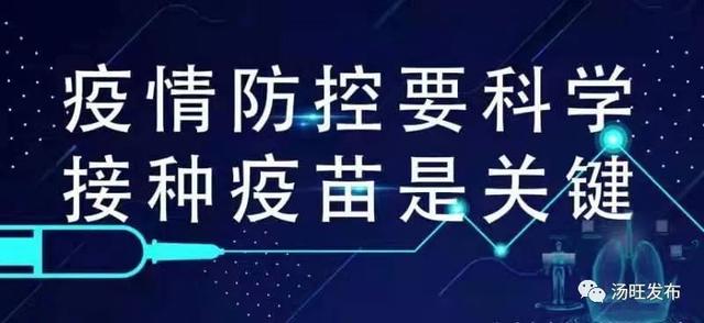 保护森林的宣传语，保护森林的标语宣传语（悬挂森林防火警示标语）