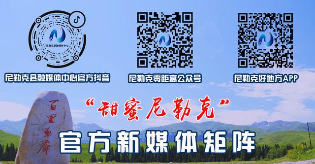 江苏省武进高级中学，2020江苏省武进高级中学高考喜报成绩、本科一本上线人数情况（拼搏绿茵场 青春梦飞扬）