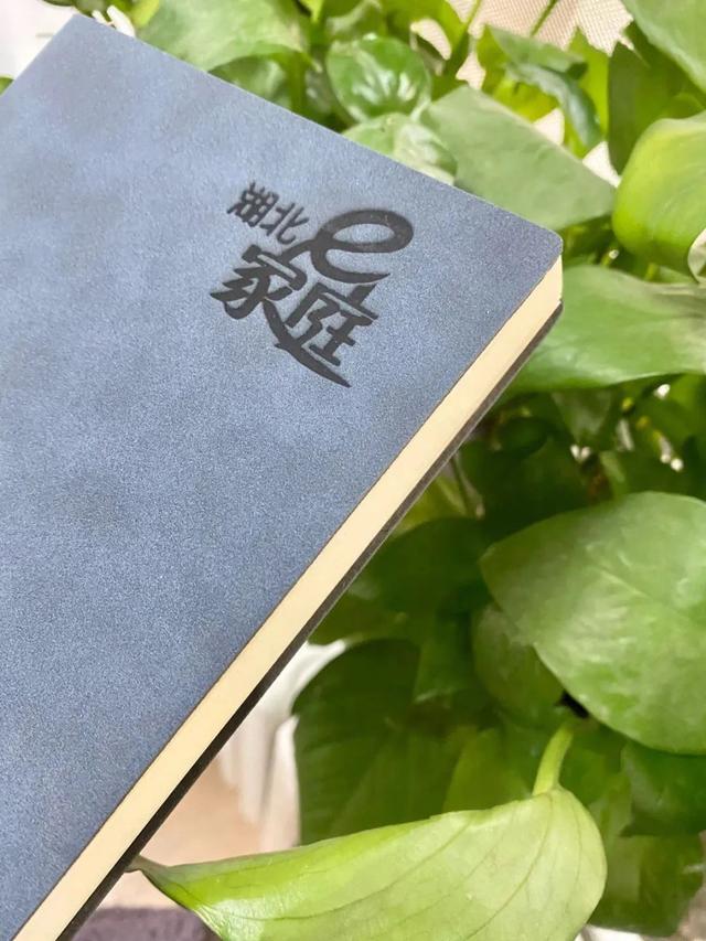 如何正确鼓励和表扬孩子，给孩子表扬和鼓励（夸奖孩子的12种科学方法）