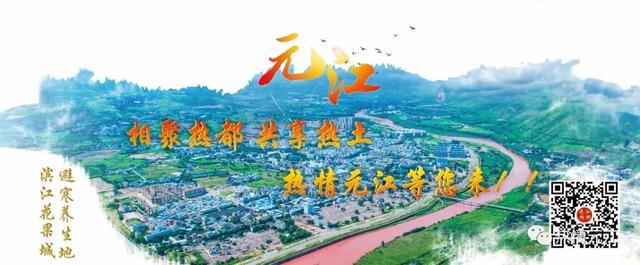 元江芦荟的特点元江芦荟引种，云南元江芦荟（元江这些凭实力出圈土特产邀你来带回家）