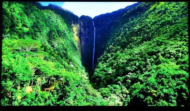 彩色电视机原理，彩色电视机显像管原理（没这两项技术的电视我劝你别买）