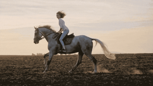 彩色电视机原理，彩色电视机显像管原理（没这两项技术的电视我劝你别买）