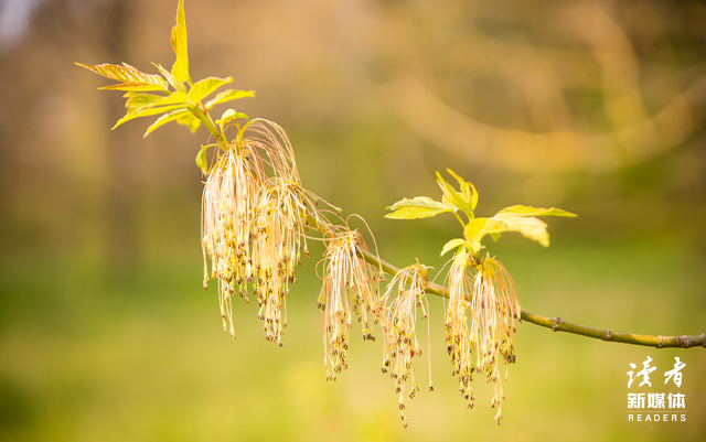书籍是全世界的营养品，书籍从你的全世界路过（10位名家这样说）