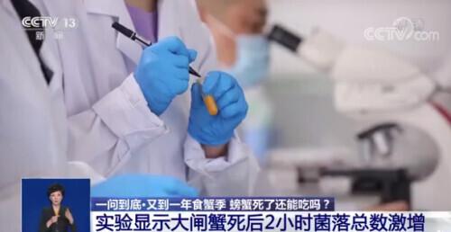 清水煮螃蟹煮5分钟能吃吗，螃蟹煮多久可以吃（螃蟹死后2小时、5小时、24小时的食用风险多高）