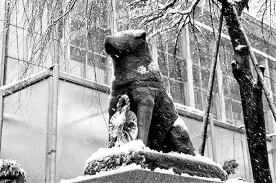 雄鹰的象征和寓意，鹰的寓意和象征（各国徽章 小方寸背后有大讲究）