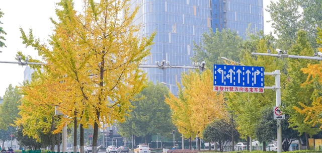 2020别去武汉2025别去上海，2025年上海预言（早安武汉︱事关市民出行）