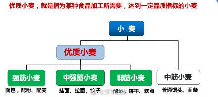 中筋粉是什么面粉，中筋面粉有什么_中筋面粉是什么面粉（强筋面粉、弱筋面粉、中筋面粉）