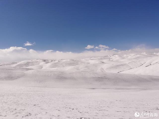 真正黄河源在哪里，寂静之处充满生机的黄河源