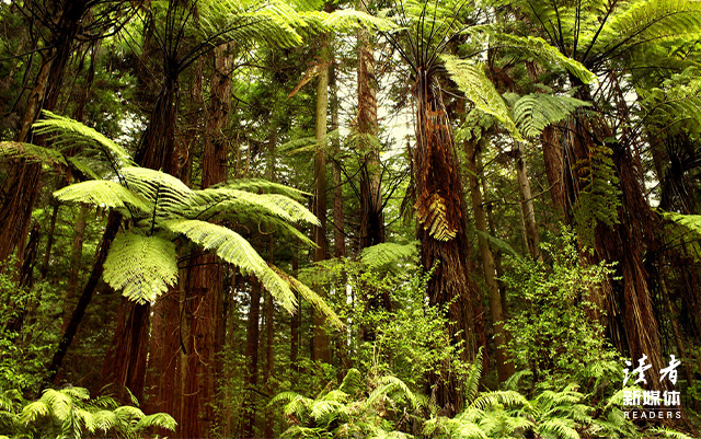 最新的人生智慧箴言大全，经典人生箴言录（10个尽显人生智慧的句子）