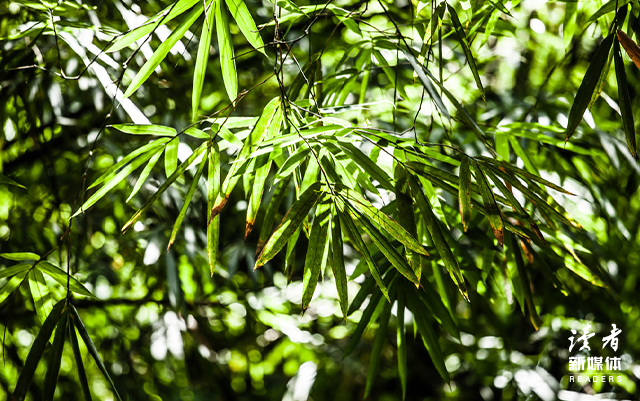 最新的人生智慧箴言大全，经典人生箴言录（10个尽显人生智慧的句子）