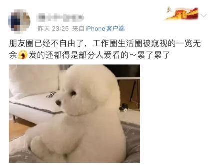 qq屏蔽的人怎么找出来，qq怎样查找已屏蔽好友（身边的人开始消失在朋友圈）