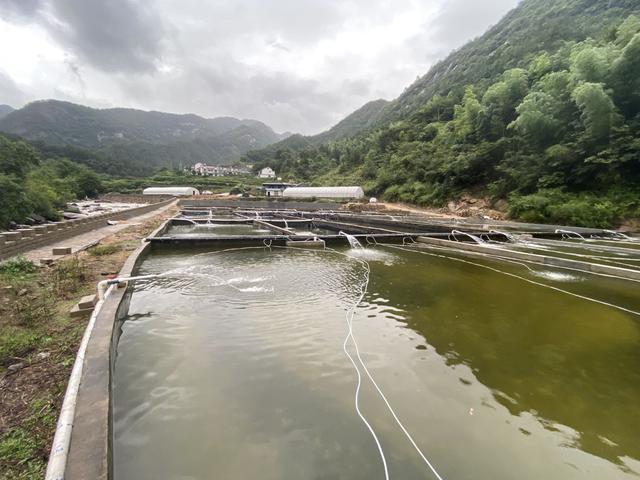 绘声绘色序列号，绘声绘影序列号（正从大别山“游”向长三角……）