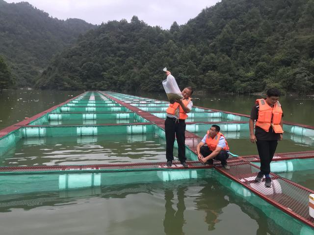 绘声绘色序列号，绘声绘影序列号（正从大别山“游”向长三角……）