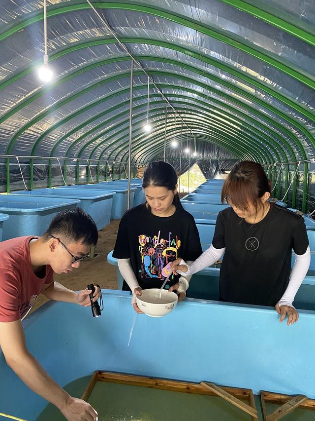 绘声绘色序列号，绘声绘影序列号（正从大别山“游”向长三角……）