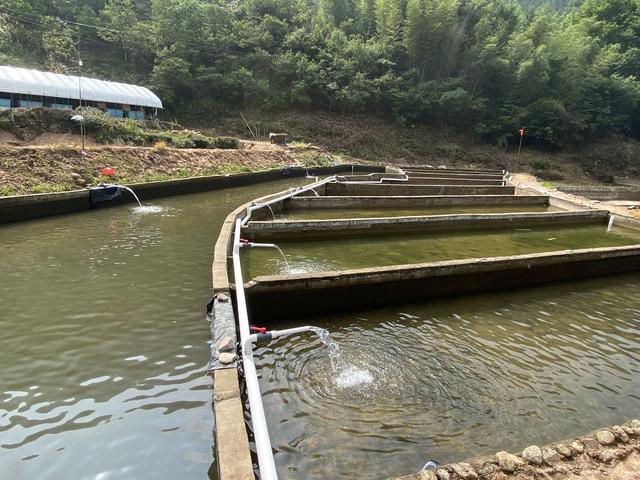 绘声绘色序列号，绘声绘影序列号（正从大别山“游”向长三角……）