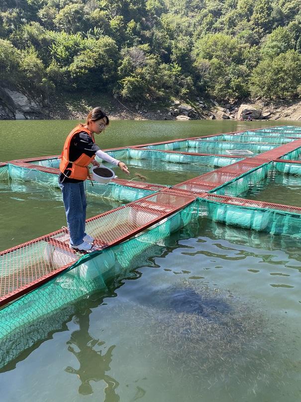 绘声绘色序列号，绘声绘影序列号（正从大别山“游”向长三角……）